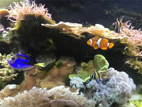 4210 Gator Trace Avenue Fort Pierce FL 34982