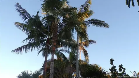 2338 NE Patrician Street Jensen Beach FL 34957