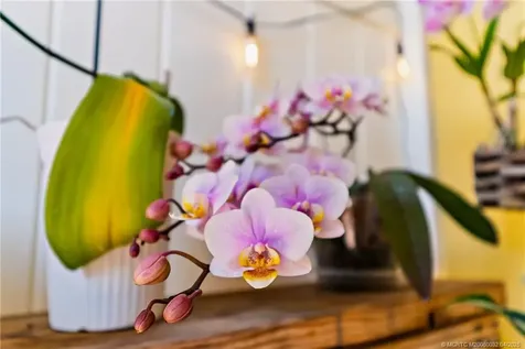 6135 NW Helmsdale Way Port Saint Lucie FL 34983