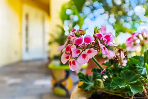 6135 NW Helmsdale Way Port Saint Lucie FL 34983