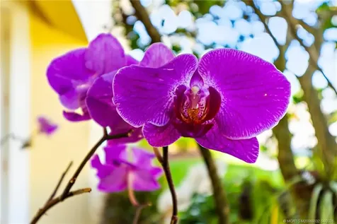 6135 NW Helmsdale Way Port Saint Lucie FL 34983