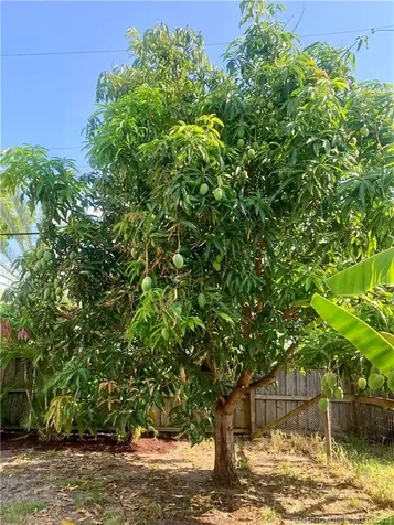 2515 NE Letitia Street Jensen Beach FL 34957