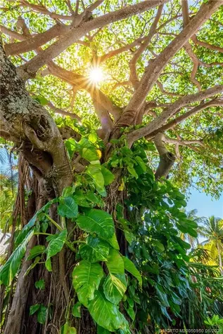 3901 SE Saint Lucie Boulevard Stuart FL 34997