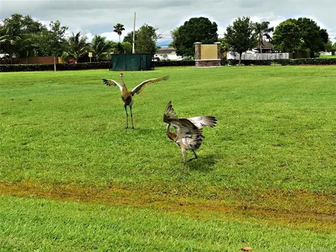 5266 NW East Delwood Drive Port St Lucie FL 34986