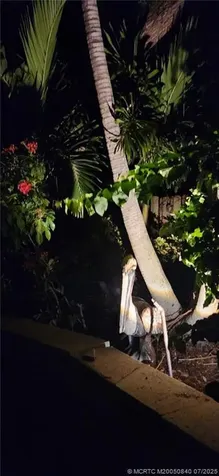 1160 Driftwood Drive Vero Beach FL 32963