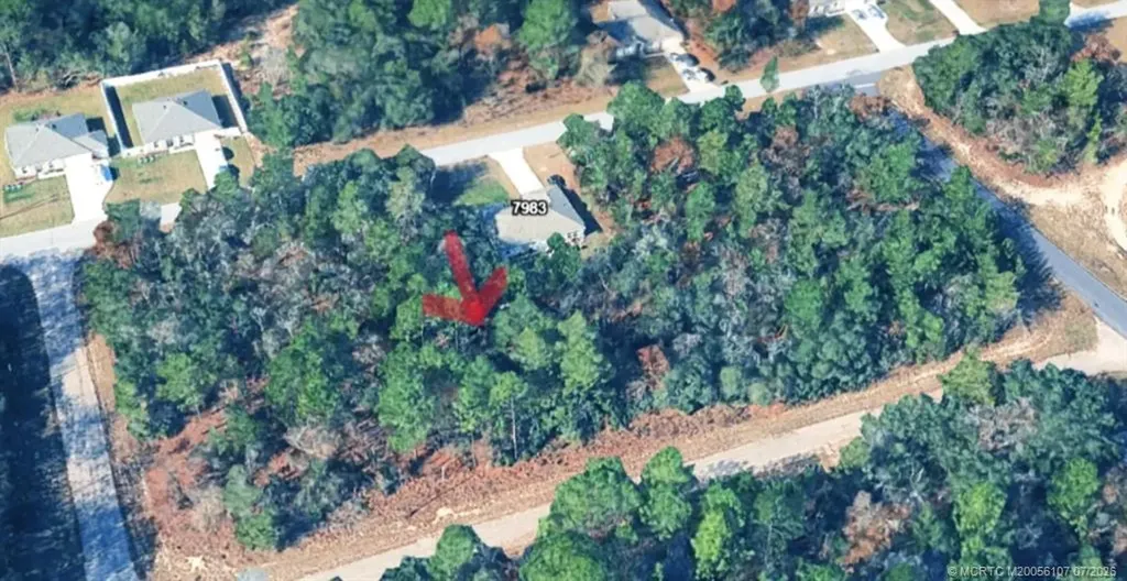 7970 N Bahama Terrace Dunnellon FL 34433