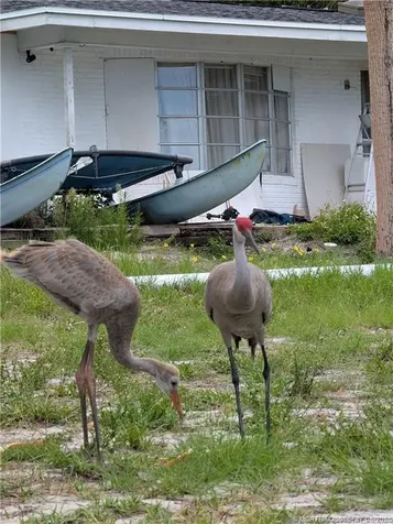 12001 S Indian River Drive Jensen Beach FL 34957