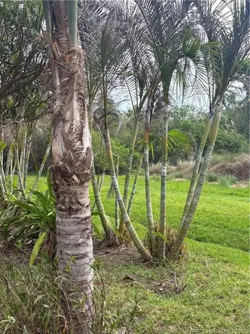 1509 SE Belcrest Street Port St Lucie FL 34952