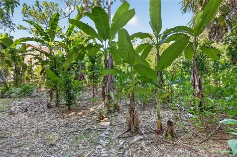 11145 SW Meadowlark Circle Stuart FL 34997
