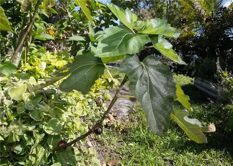 3121 Old Edwards Road Fort Pierce FL 34981