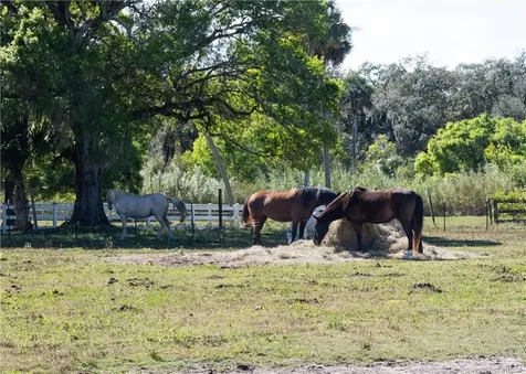 3121 Old Edwards Road Fort Pierce FL 34981