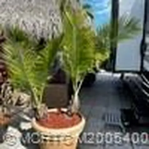 8 NW Boundary Drive Port St Lucie FL 34986