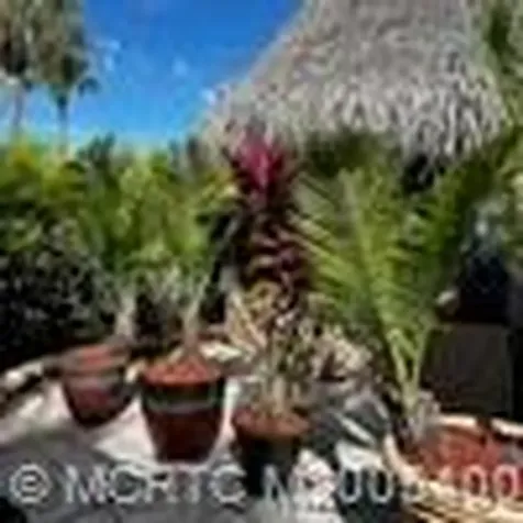 8 NW Boundary Drive Port St Lucie FL 34986