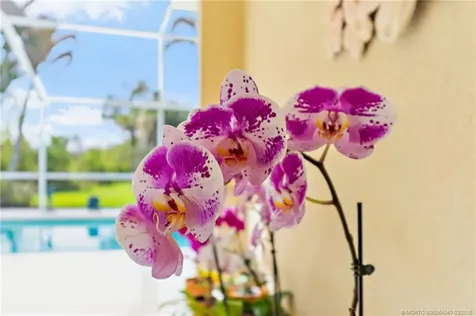 8240 SE Paurotis Lane Hobe Sound FL 33455