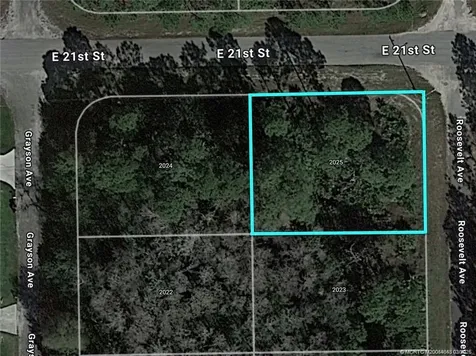 2025 Roosevelt Avenue Alva FL 33920