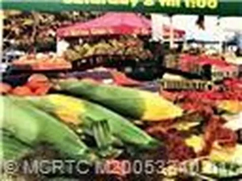 4210 Gator Trace Avenue Fort Pierce FL 34982