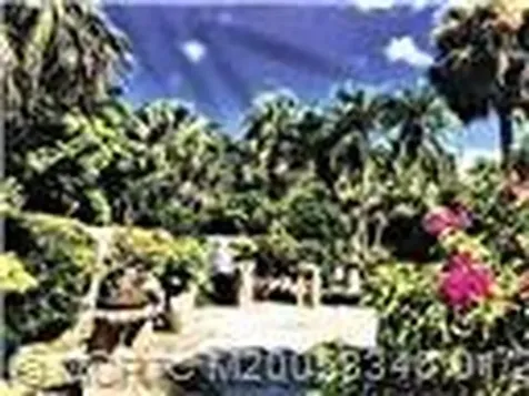 4210 Gator Trace Avenue Fort Pierce FL 34982