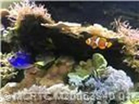 4210 Gator Trace Avenue Fort Pierce FL 34982