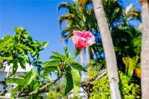 2929 SE Ocean Boulevard Stuart FL 34996