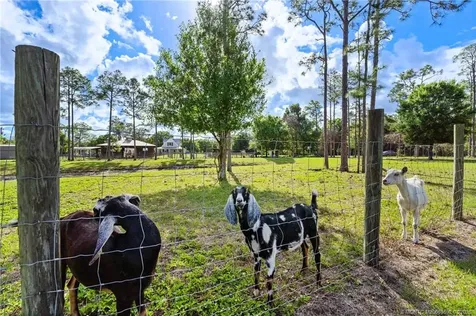 6347 SW Travers Street Palm City FL 34990