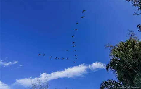 6235 Us Highway 98 N Okeechobee FL 34972