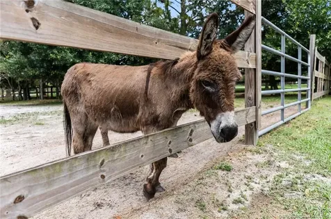 9758 SW Malibu Terrace Palm City FL 34990