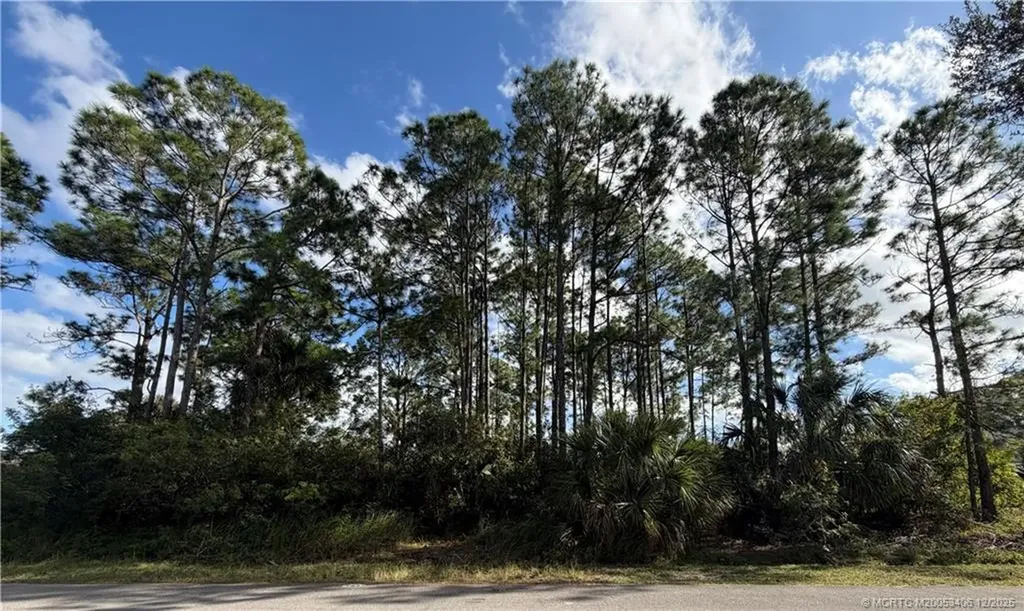 1115 Colonial Avenue SE Palm Bay FL 32909