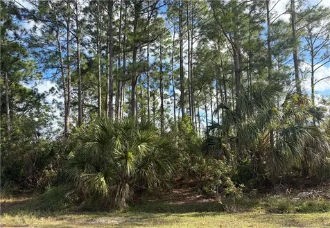 1115 Colonial Avenue SE Palm Bay FL 32909