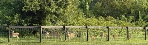 13559 22nd Lane Okeechobee FL 34974