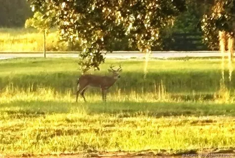 13559 22nd Lane Okeechobee FL 34974