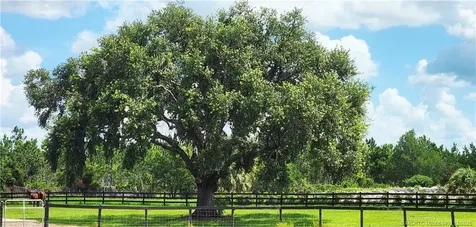 13559 22nd Lane Okeechobee FL 34974