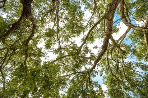 13559 22nd Lane Okeechobee FL 34974