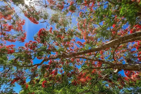 2600 SE Ocean Boulevard Stuart FL 34996