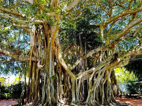 3020 SE Saint Lucie Boulevard Stuart FL 34997