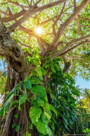 3901 SE Saint Lucie Boulevard Stuart FL 34997