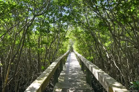 7831 SE Windjammer Way Hobe Sound FL 33455