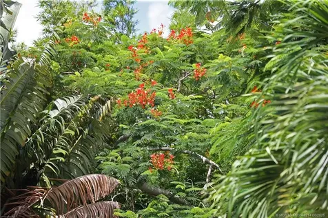 16 Ridgeview Road N Sewalls Point FL 34996