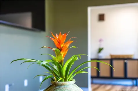 2556 NW Captiva Cove Stuart FL 34994