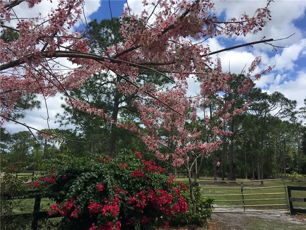 4399 SW Quiet Place Palm City FL 34990