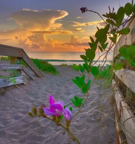 8840 S Sea Oaks Way Vero Beach FL 32963