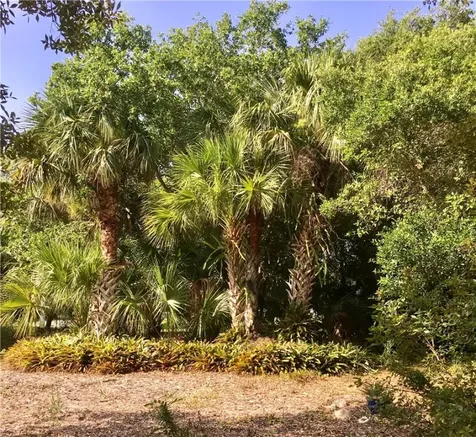 9605 Riverview Drive Micco FL 32976