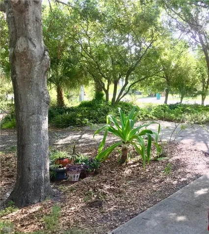 9605 Riverview Drive Micco FL 32976