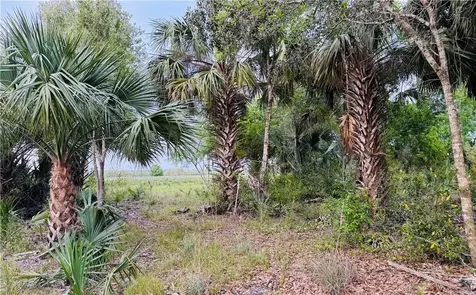 10555 State Road 60 Highway Vero Beach FL 32966