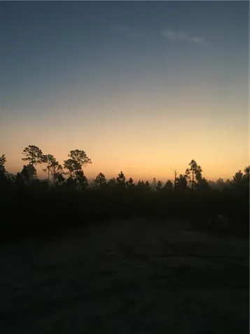 0 Beekeeper Road Malabar FL 32950