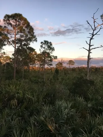 0 Beekeeper Road Malabar FL 32950