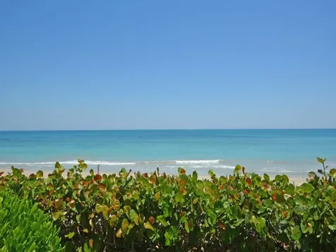 8880 N Sea Oaks Way Vero Beach FL 32963