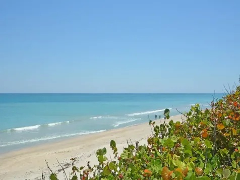 8880 N Sea Oaks Way Vero Beach FL 32963