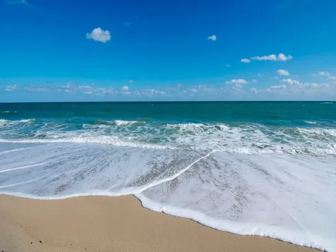 1480 Ocean Drive Vero Beach FL 32963