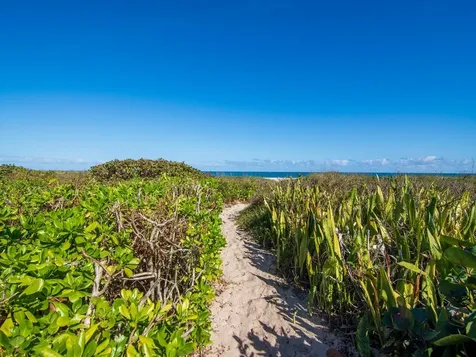 1480 Ocean Drive Vero Beach FL 32963