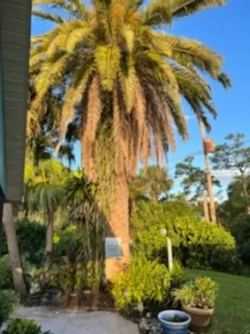 422 Avocado Avenue Sebastian FL 32958